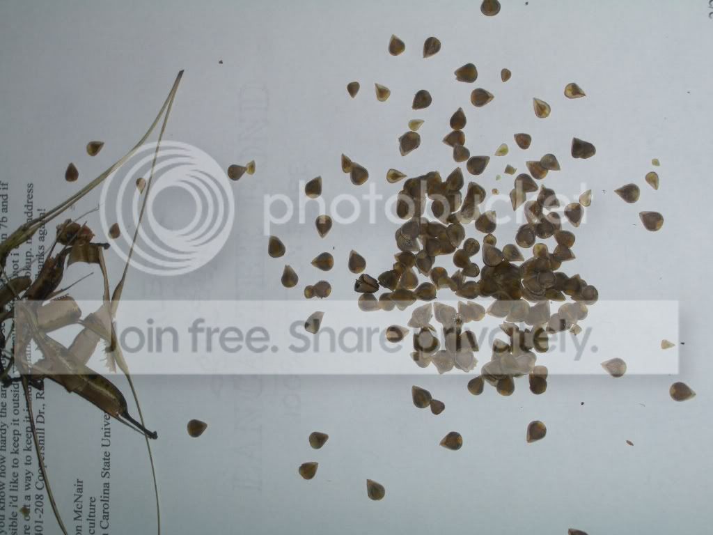 IMGP6163.jpg