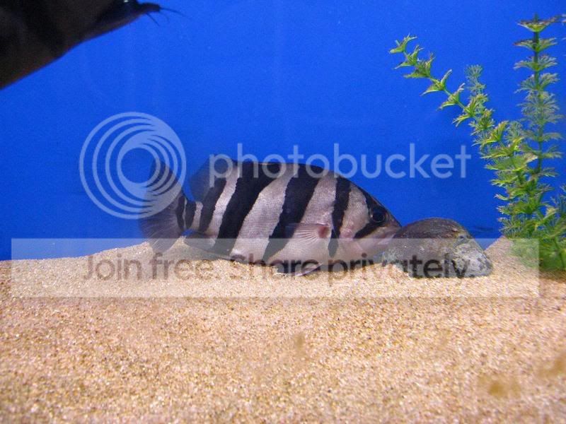 IMG_0009.jpg