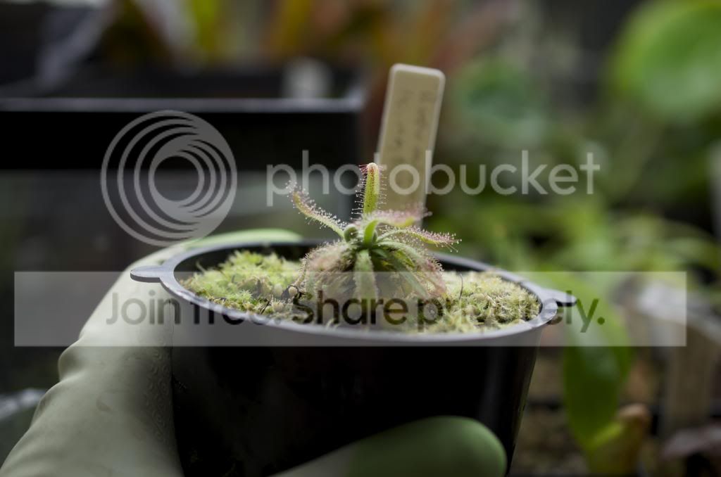 DSC_0014-4_zps5357c3b2.jpg