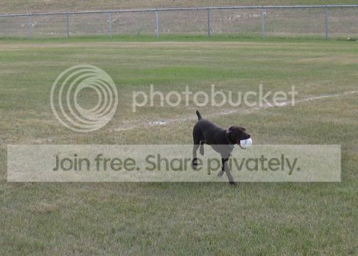 IMG_0584.jpg