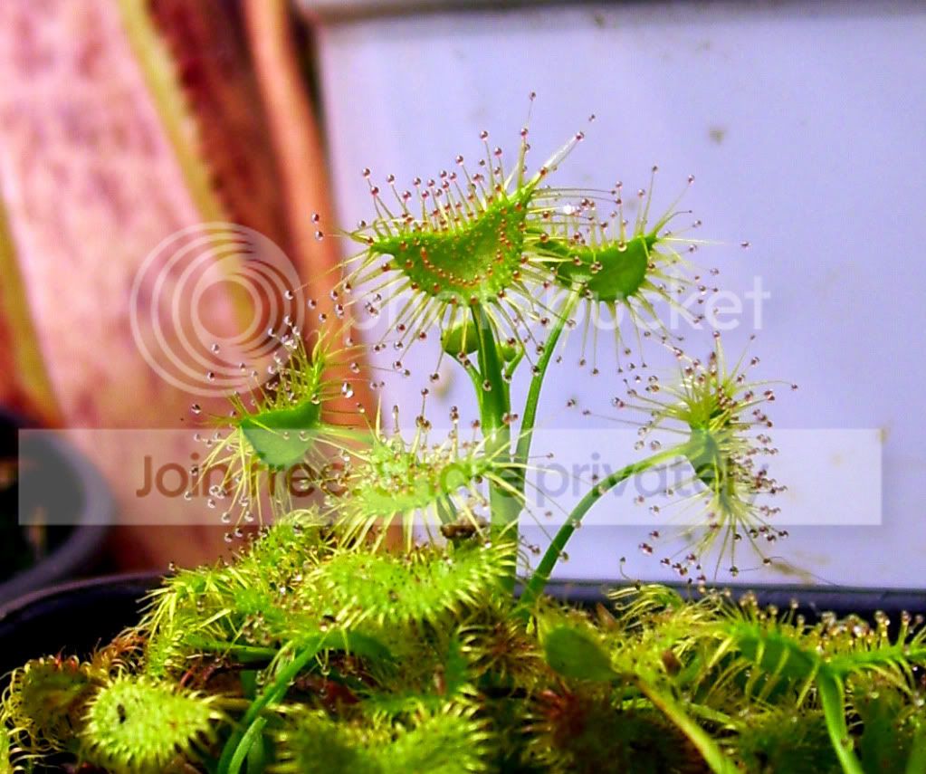 100_8230.jpg