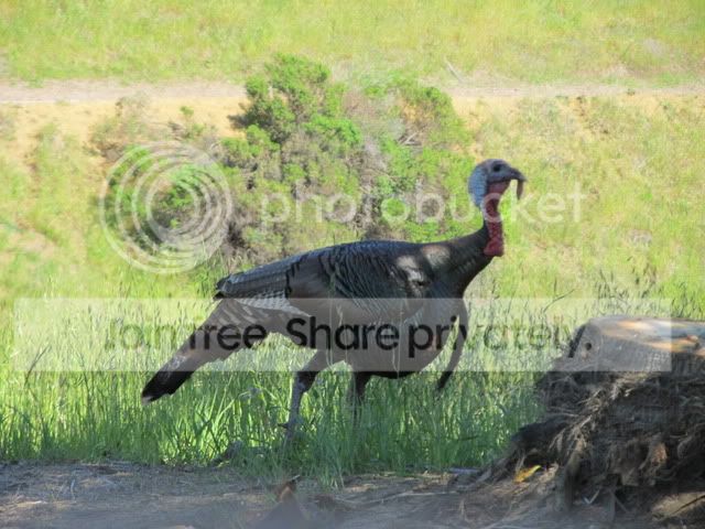 IMG_6735.jpg