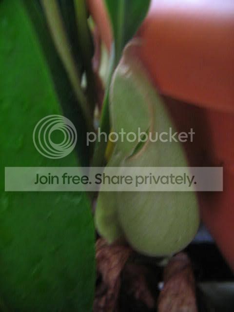IMG_9172.jpg