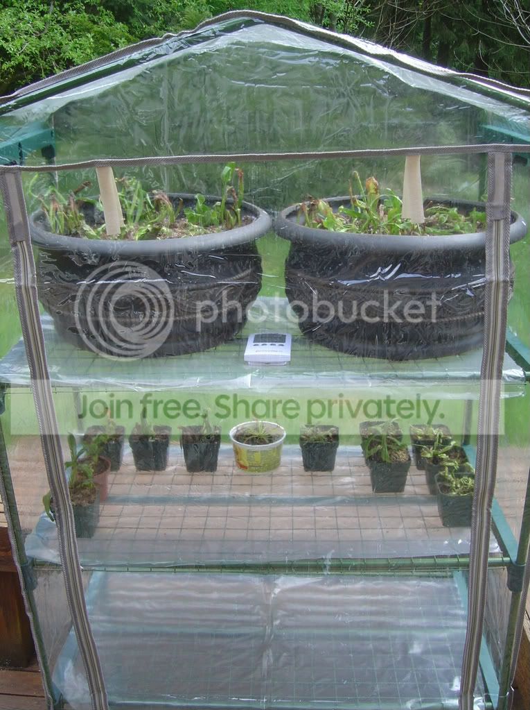 Greenhousesetup005-1.jpg