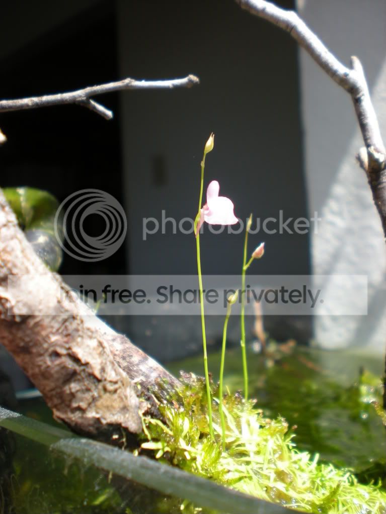DSCN3176.jpg