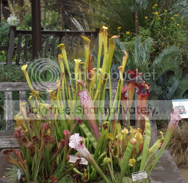 DSCF5817.jpg