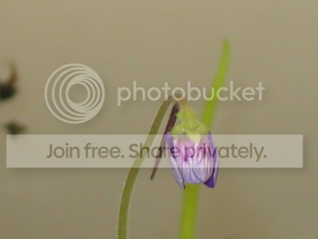 IMG_0234.jpg