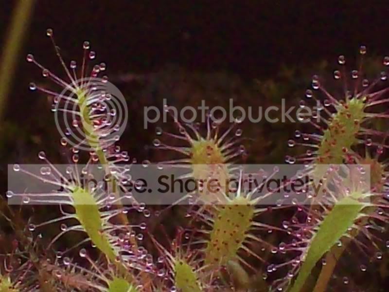 100_9751.jpg