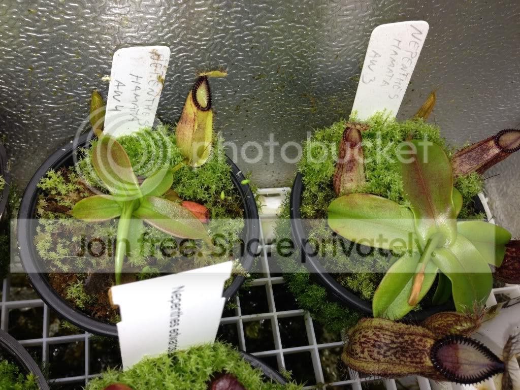 image_zps5781072a.jpg