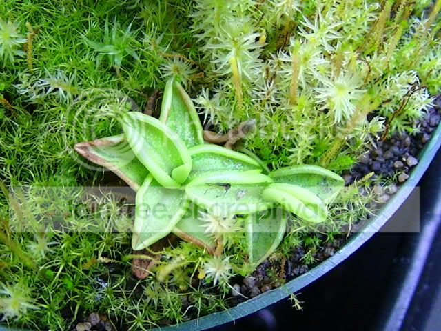 PIC_0003.jpg
