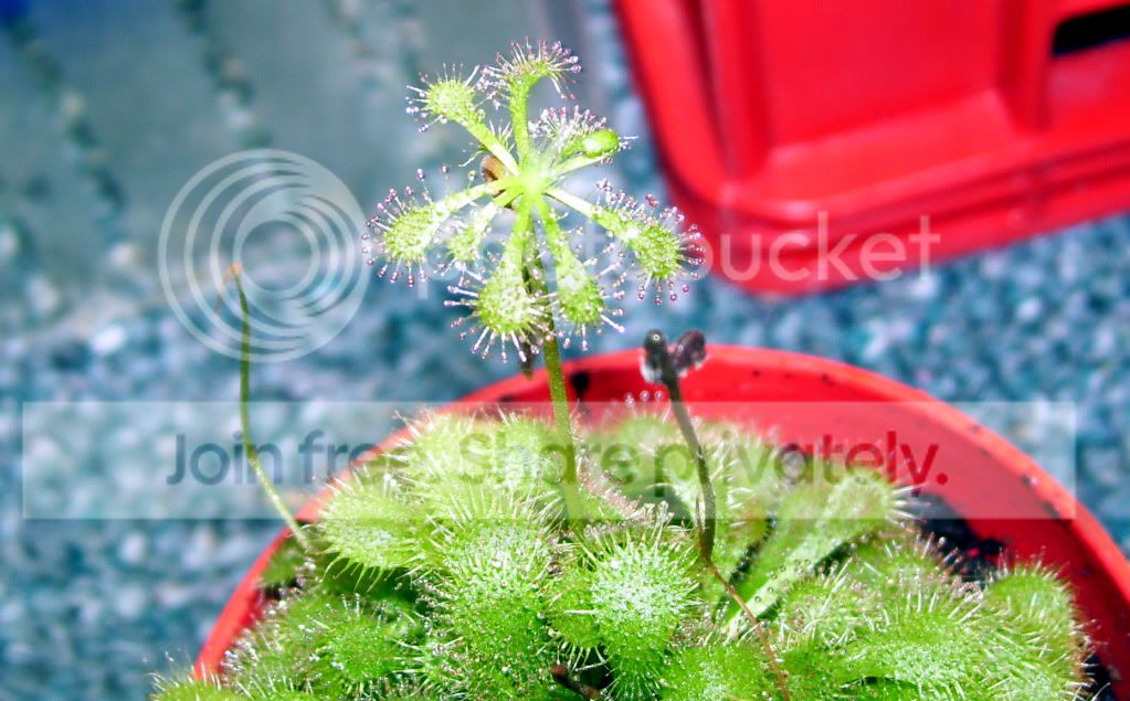 100_5501.jpg