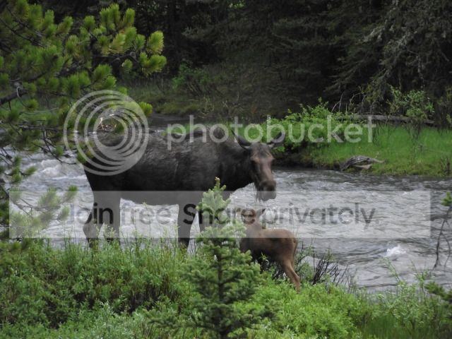 DSCF2156.jpg