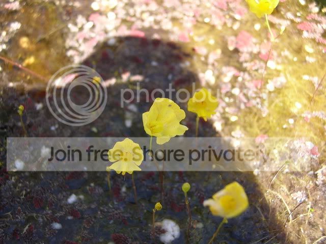 DSCN4331.jpg