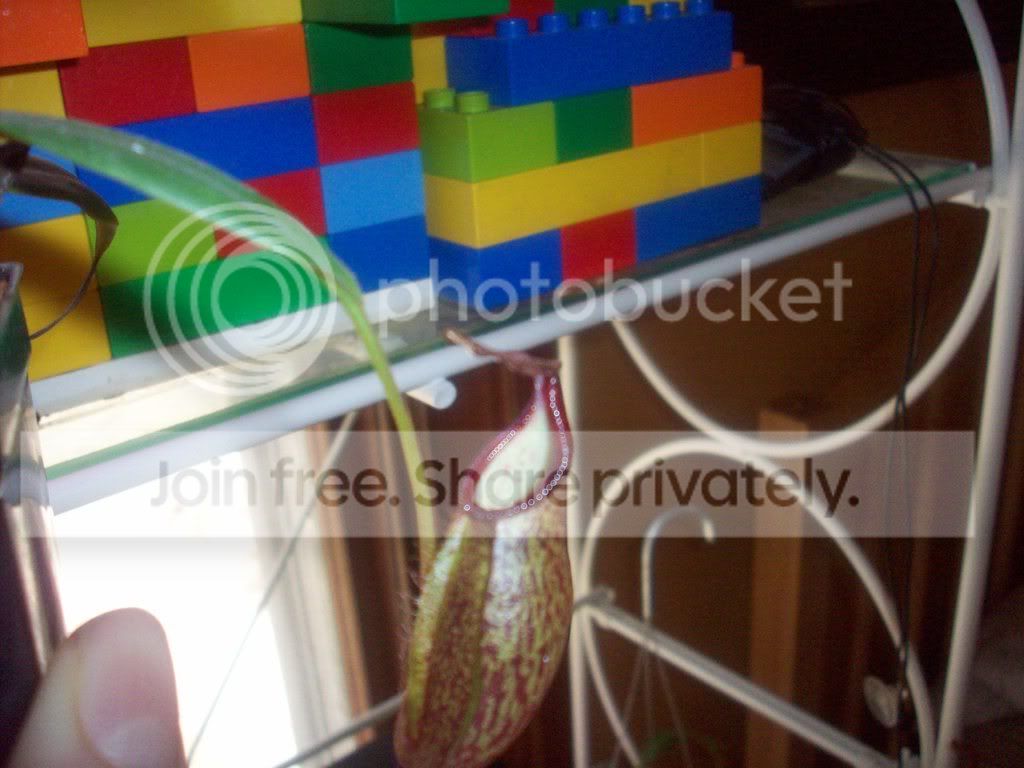 100_0317.jpg