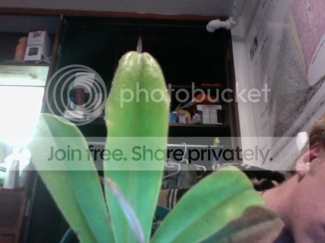 Photo3.jpg