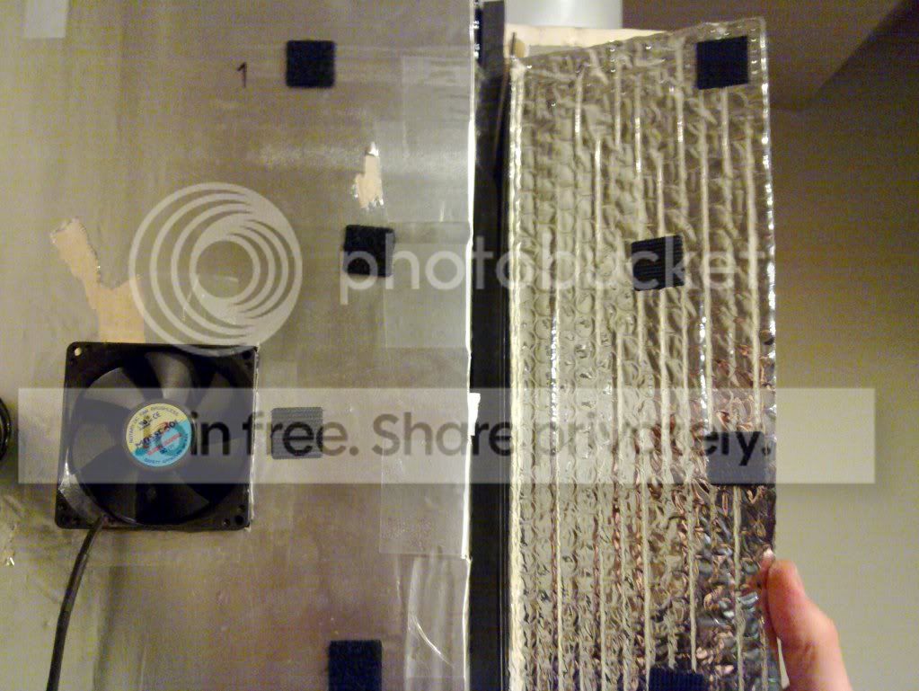 20120212_009.jpg