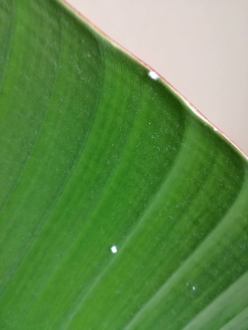 16880611.jpg