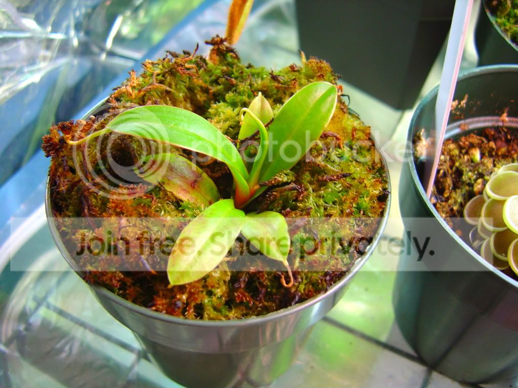 CPupdatesmostlyneps3-11-09012.jpg