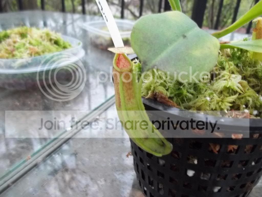 106_1728.jpg