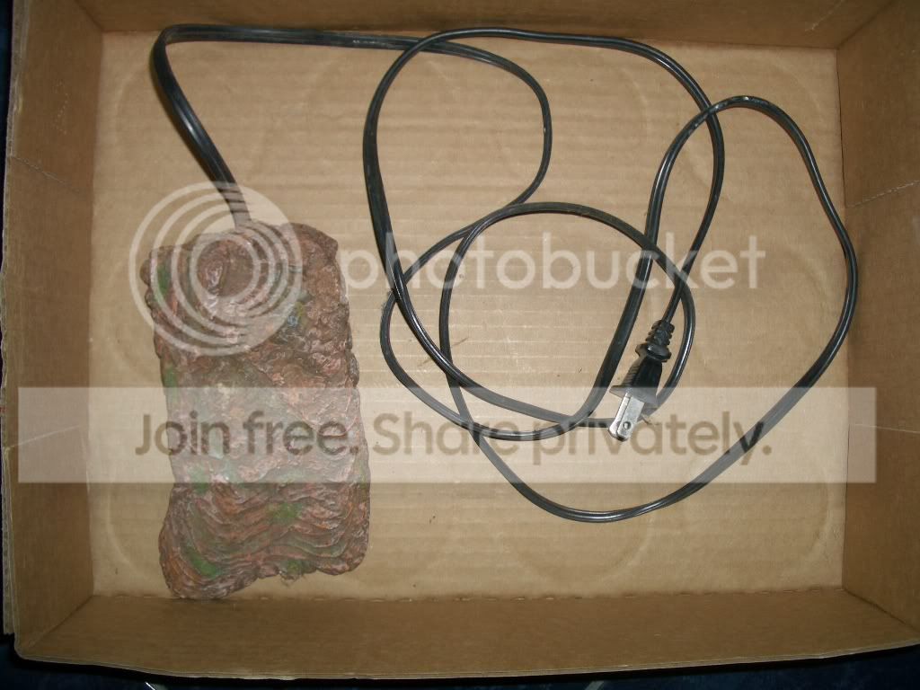 IMGP6389.jpg