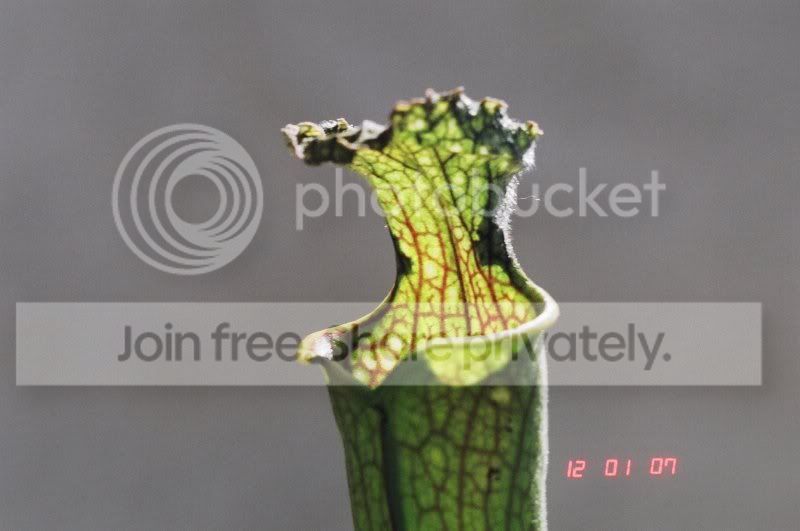 03980026.jpg
