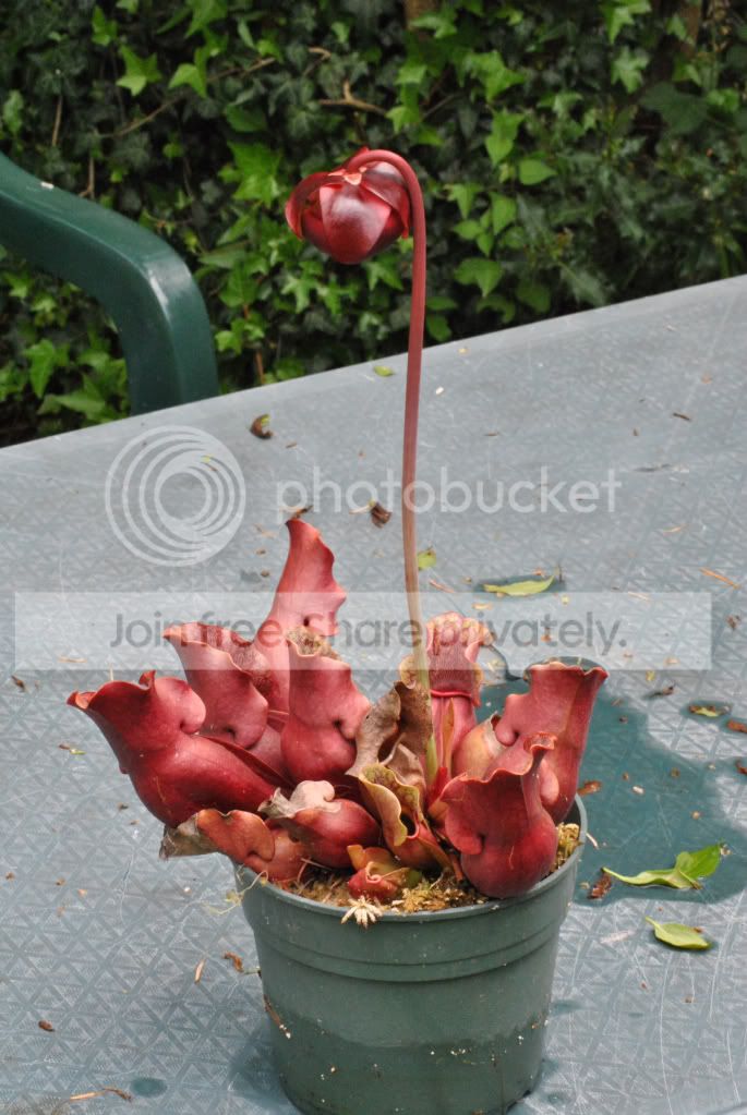 9172e883.jpg