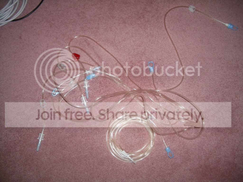 IMGP6527.jpg