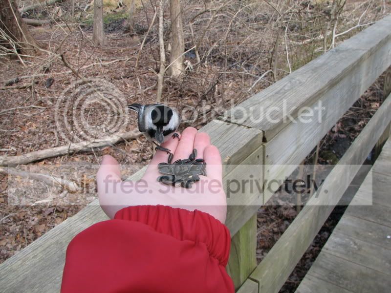 mwr3-13-07_005.jpg
