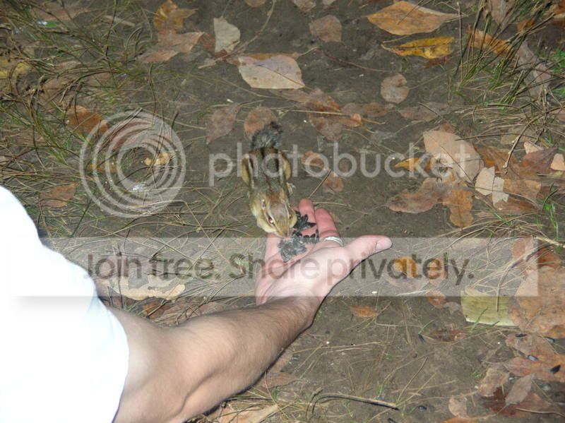 dscn2319.jpg
