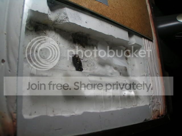 PICT0096.jpg