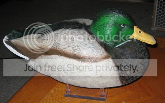 IMG_0717.jpg