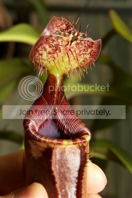 27e3e7f5.jpg