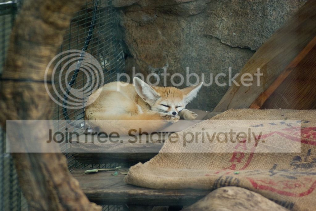 IMGP3285_zpsyahw2gcq.jpg