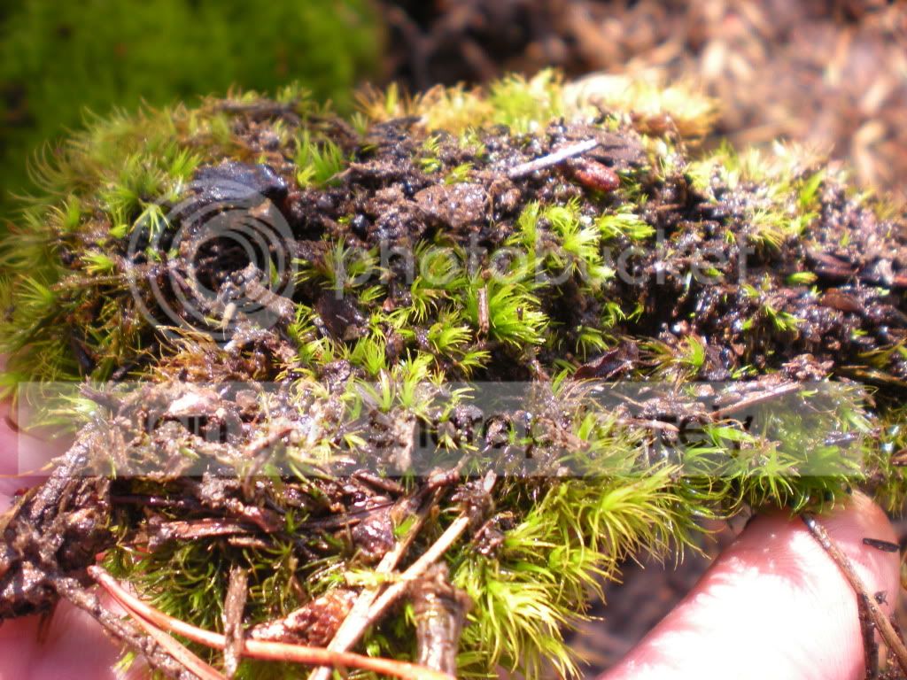 DSCN8629.jpg
