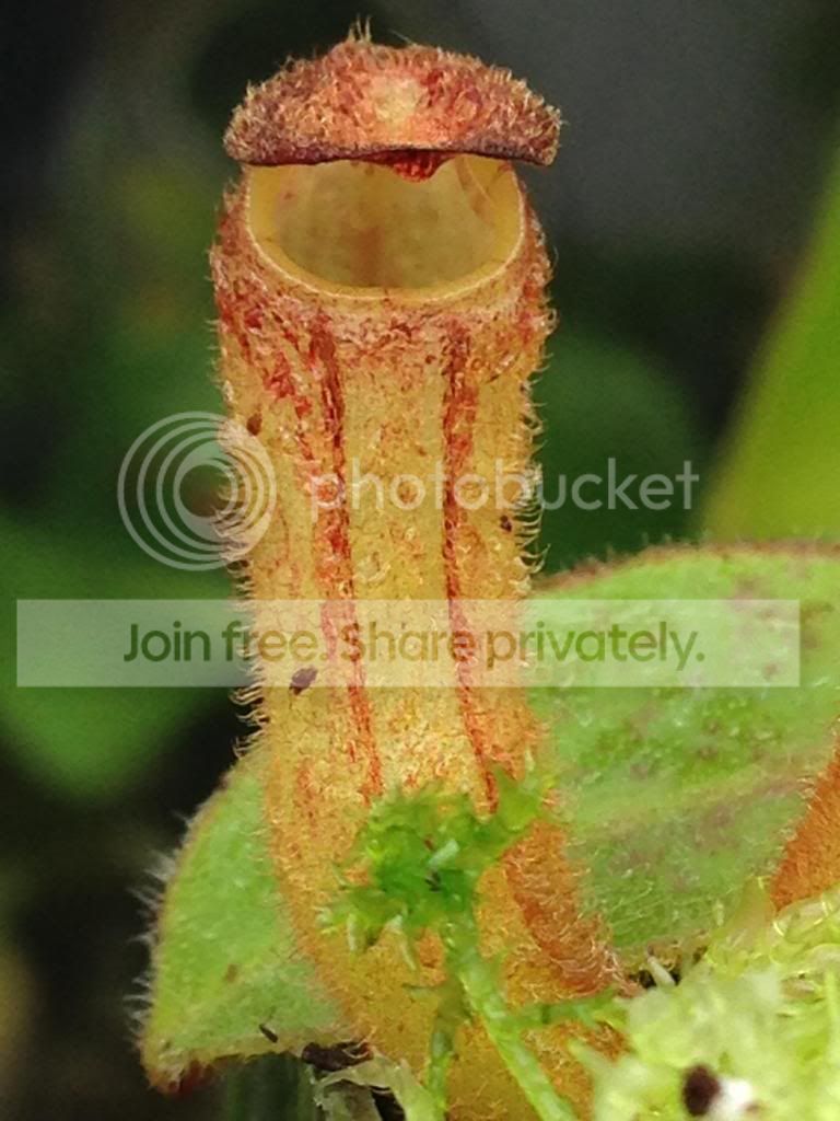 image_zps10453f5f.jpg