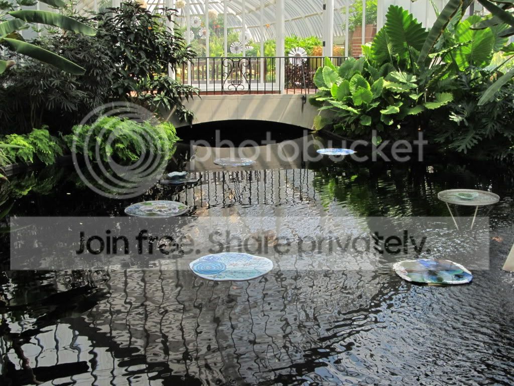 IMG_8444.jpg