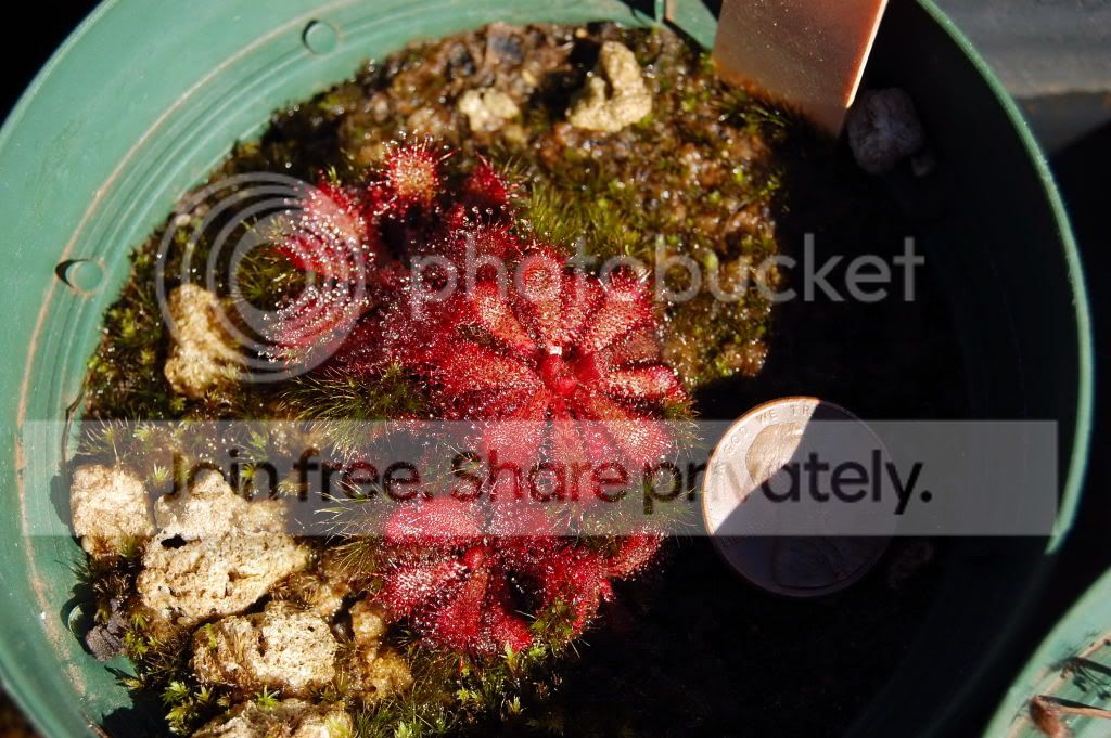 DSC_00210002.jpg