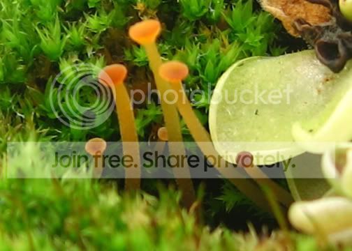 IMG_0023.jpg