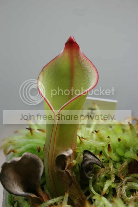 IMG_5753_zps093e019e.png