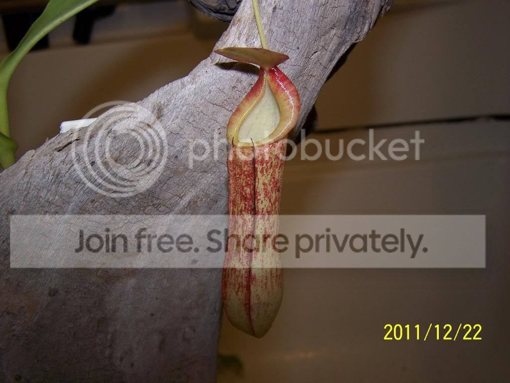 100_5685.jpg