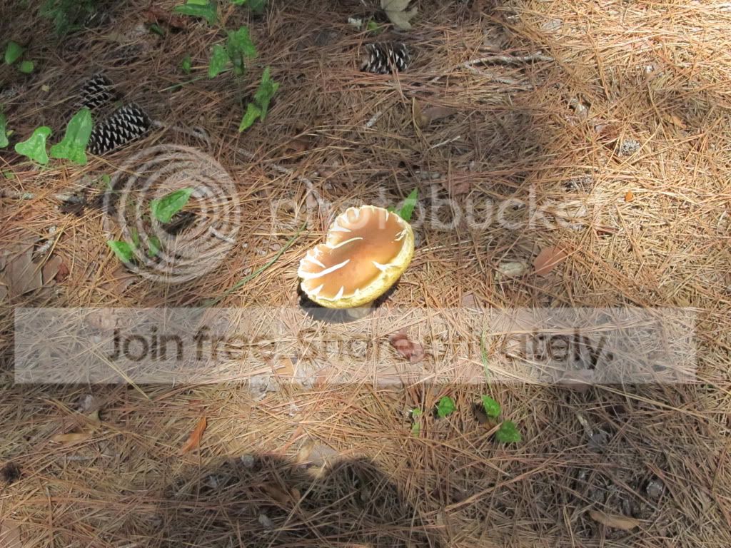 IMG_6386.jpg