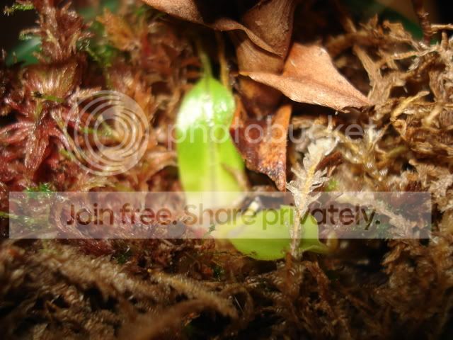 DSC01435.jpg