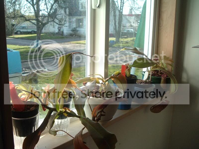 DSCF2586-1.jpg