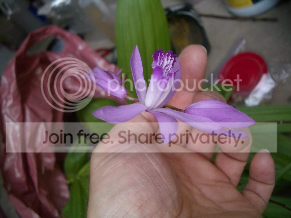 IMGP6576.jpg