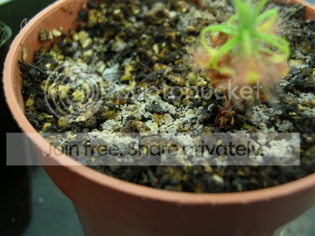 DSCN4679.jpg