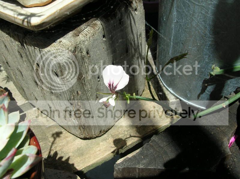 HW2_5071.jpg