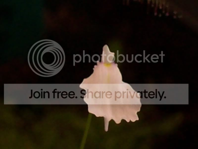 100_8743.jpg