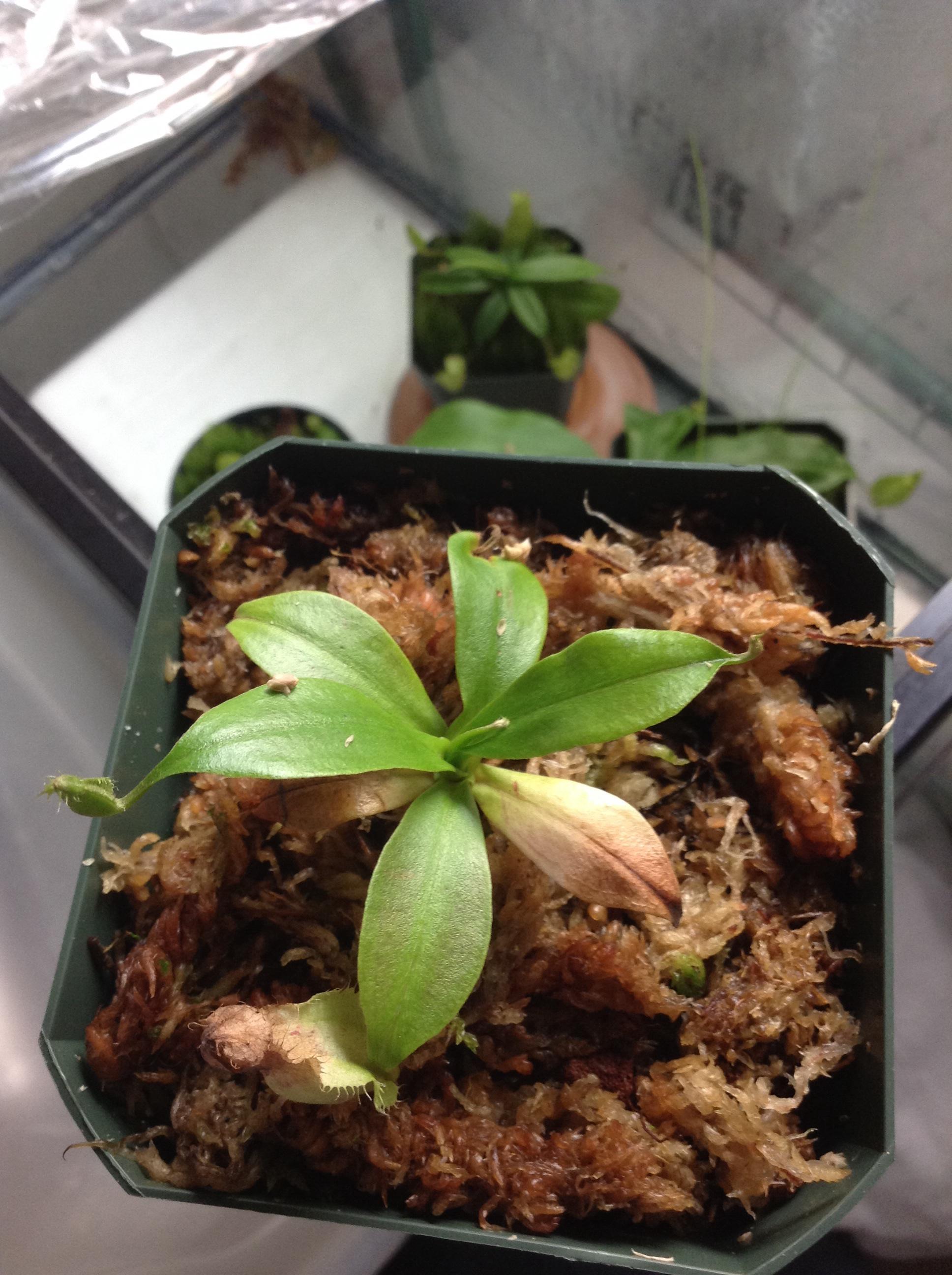 XvzozKi.jpg