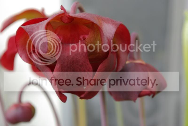 _IGP0315a.jpg