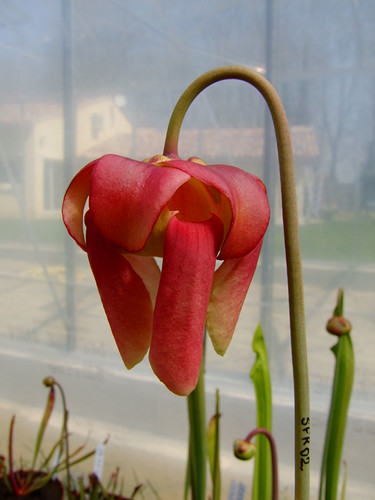 4505196488_982afb0e68.jpg